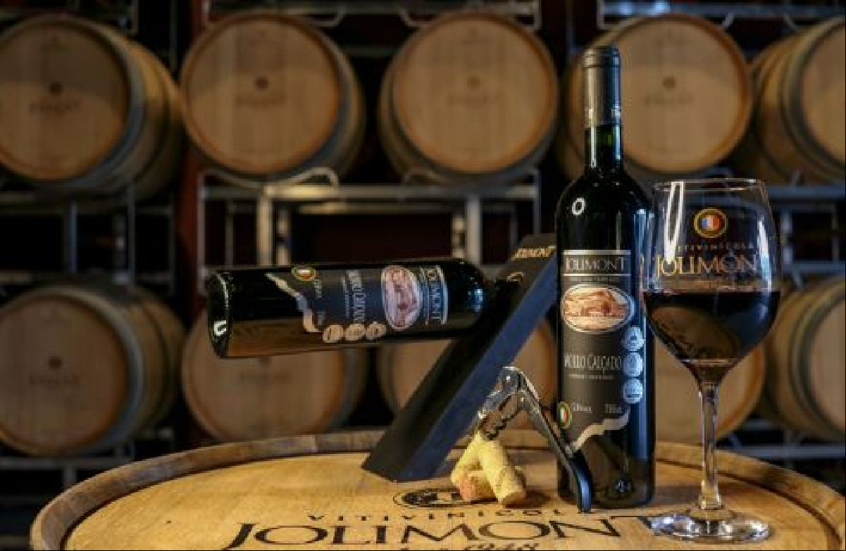 A FORÇA DA PRODUÇÃO DO VINHO NO INVERNO DA SERRA GAÚCHA