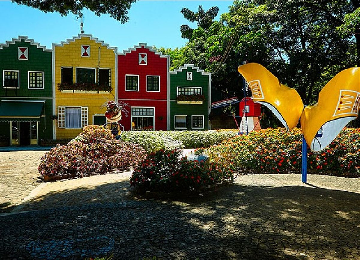 Descubra seis eios imperdíveis para fazer partindo de Campinas (SP)