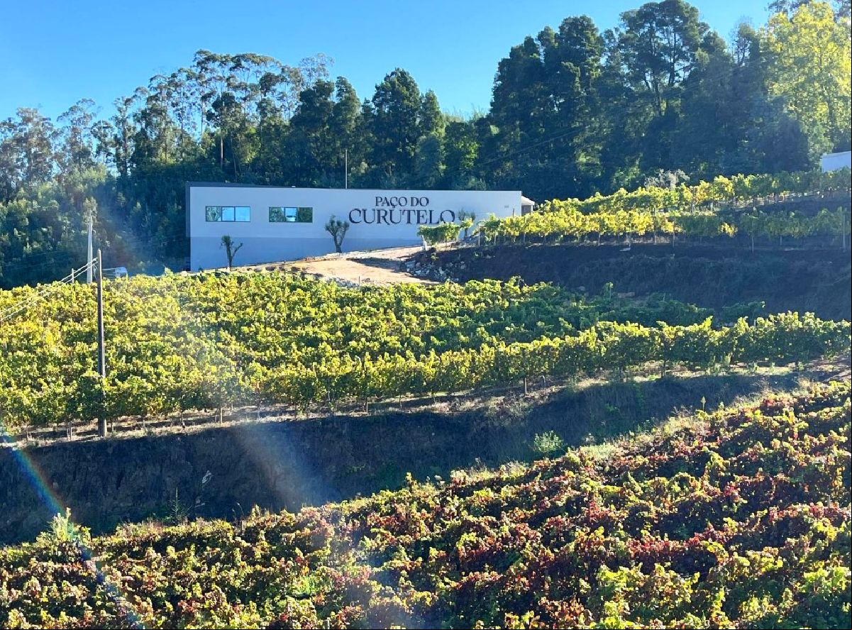 Vila Galé inaugura adega na região dos Vinhos Verdes, em Portugal